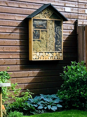 Bug house designed in Creo